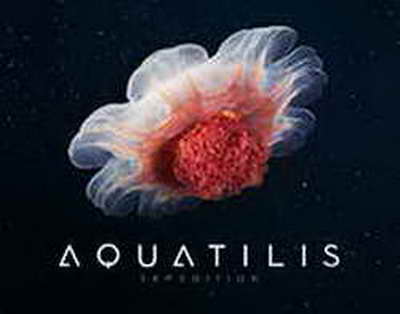 Женщина погибла в результате атаки украинских БПЛА в Курской области