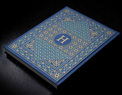 Проверка не выявила нецелевого использования бюджета СГ в 2023 году