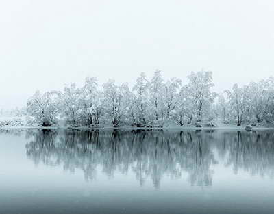 Страховая компания Спасские ворота сообщила об утечке данных